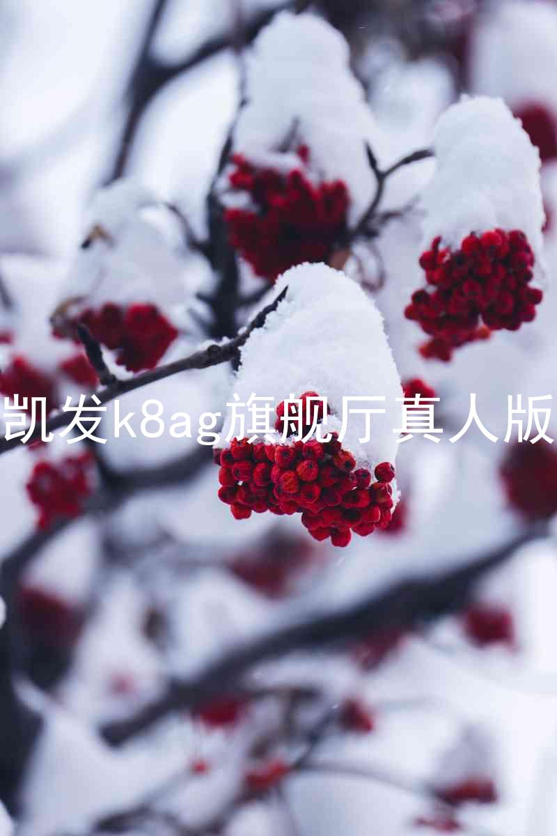 凯发k8ag旗舰厅真人版