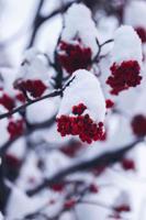 揭开【asiagame官网登录入口】的神秘面纱：畅游亚洲游戏的无限乐趣